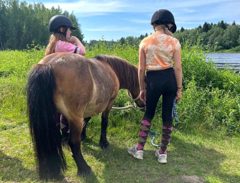 Tyttö taluttaa hevosta.