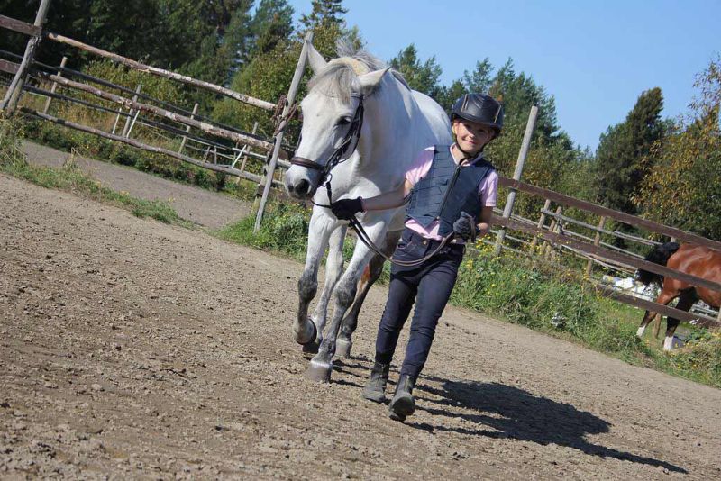 Tyttö taluttaa hevosta.